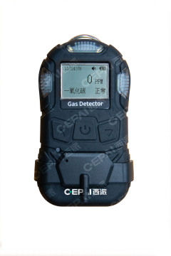 BXYQ-CP10 Portable Gas Detector