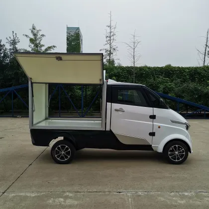Last Mile Delivery Mini Delivery Van