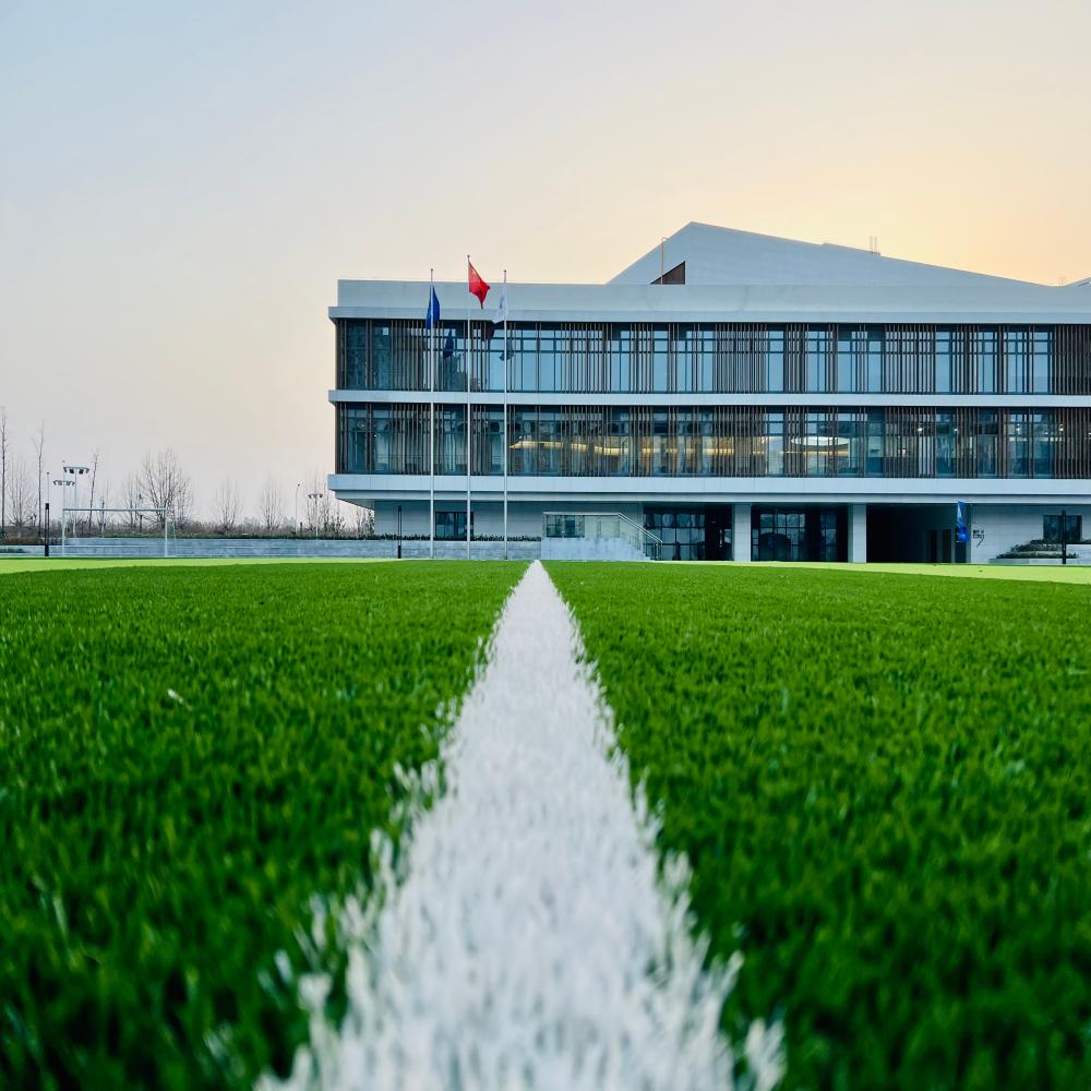 Football grass  S55016T3A-ZZA