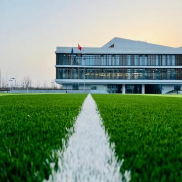 Lawn rumput buatan 50mm untuk lapangan olahraga