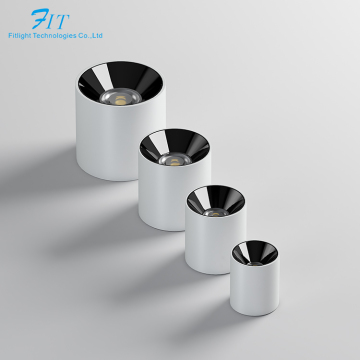 Cylinder White 30W COB Downlight: Surface Mounted or Hanging Aluminum Spotlight