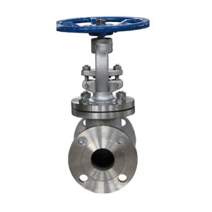 ANSI Stainless Steel Globe Valve