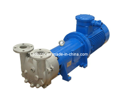 2BV6121 One/Single Stage Water Ring Vacuum Pump (price)