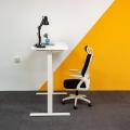 Height Adjustable Standing Crank Desk Frame