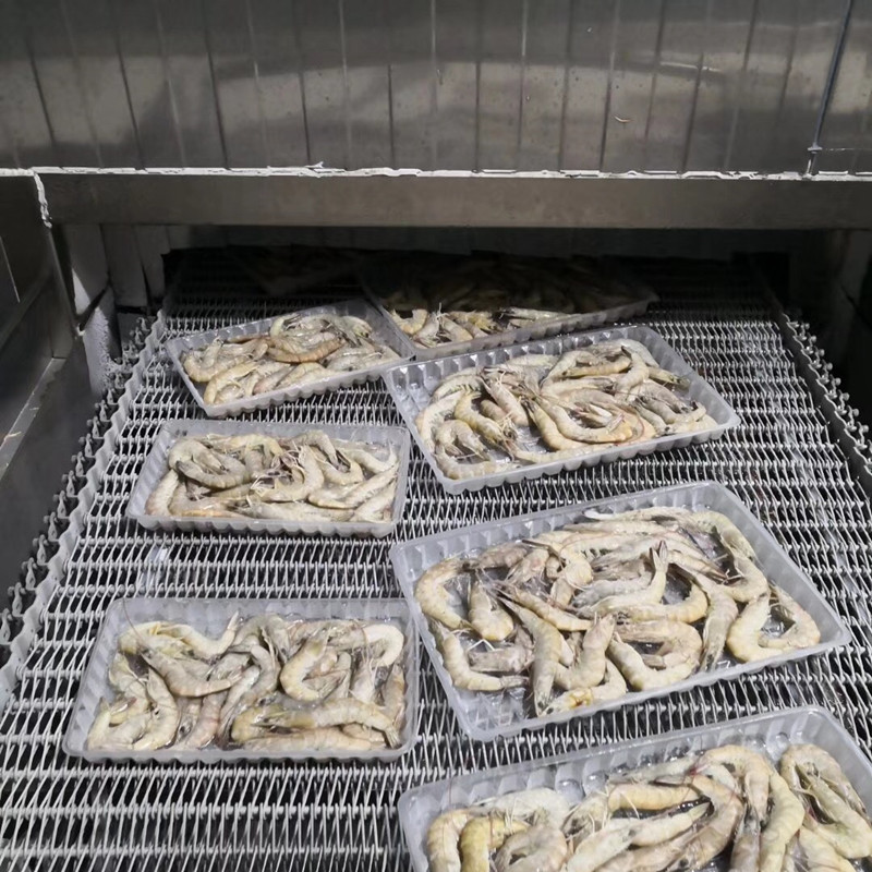 Spiral Freezer For Boxed Packing Shrimp