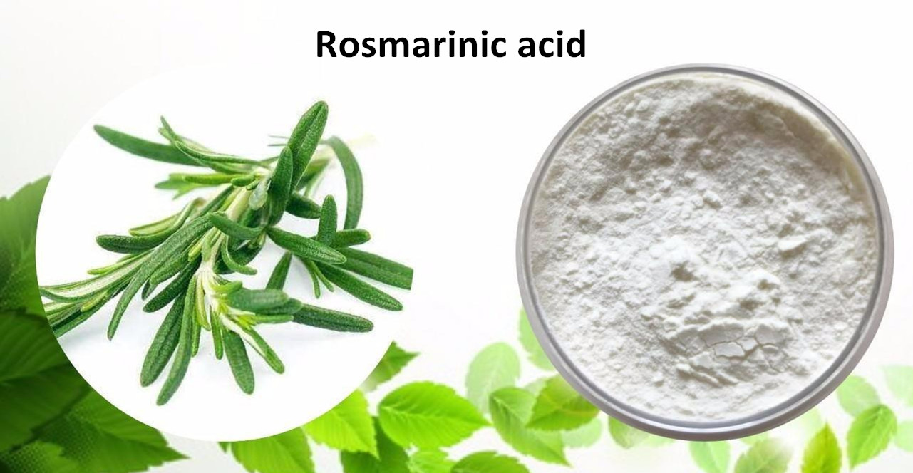 Rosmarinic acid