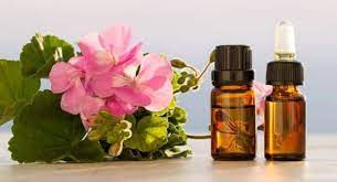 geranium oil