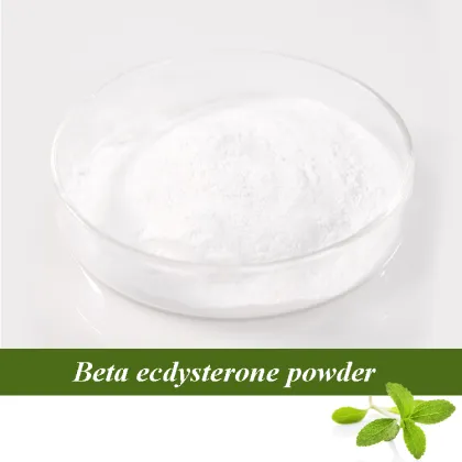 Wholesale beta ecdysterone powder