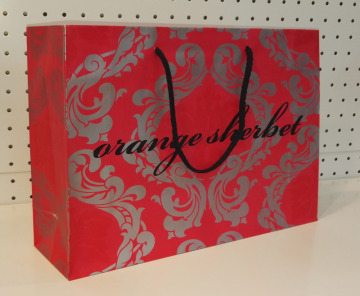 Art Craft Paper Bag