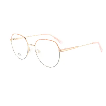 Beautiful Metal Frame Women's Student Optical Round Glasses for Youth