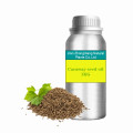 aceite esencial de semilla de cilantro natural puro