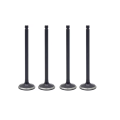 Exhaust Valve 22212-02210 for Engine