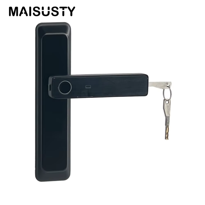 Смарт -биометрический Mortice Bless Ceypad Password Door Lock