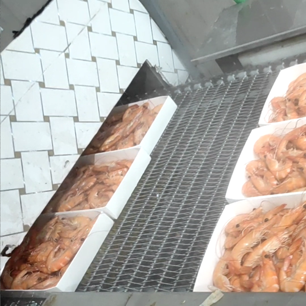 Inlet Of Spiral Freezer For Cooked Shrimp