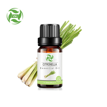 Factory Supply 100% Pure Citronella essential oil