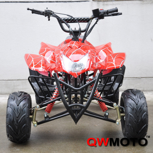 110CC ATV with Lifan Engine (QW-ATV-02A)