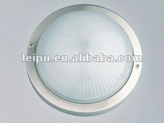 stainless steel ceiling light
