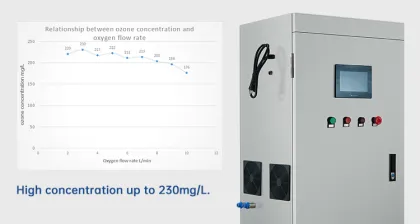 Professional 100g PLC Ozone Generator for Textile Washing and Bleaching