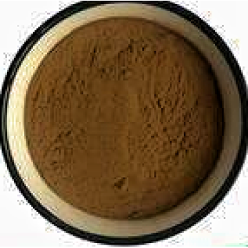 Organic Mint Extract