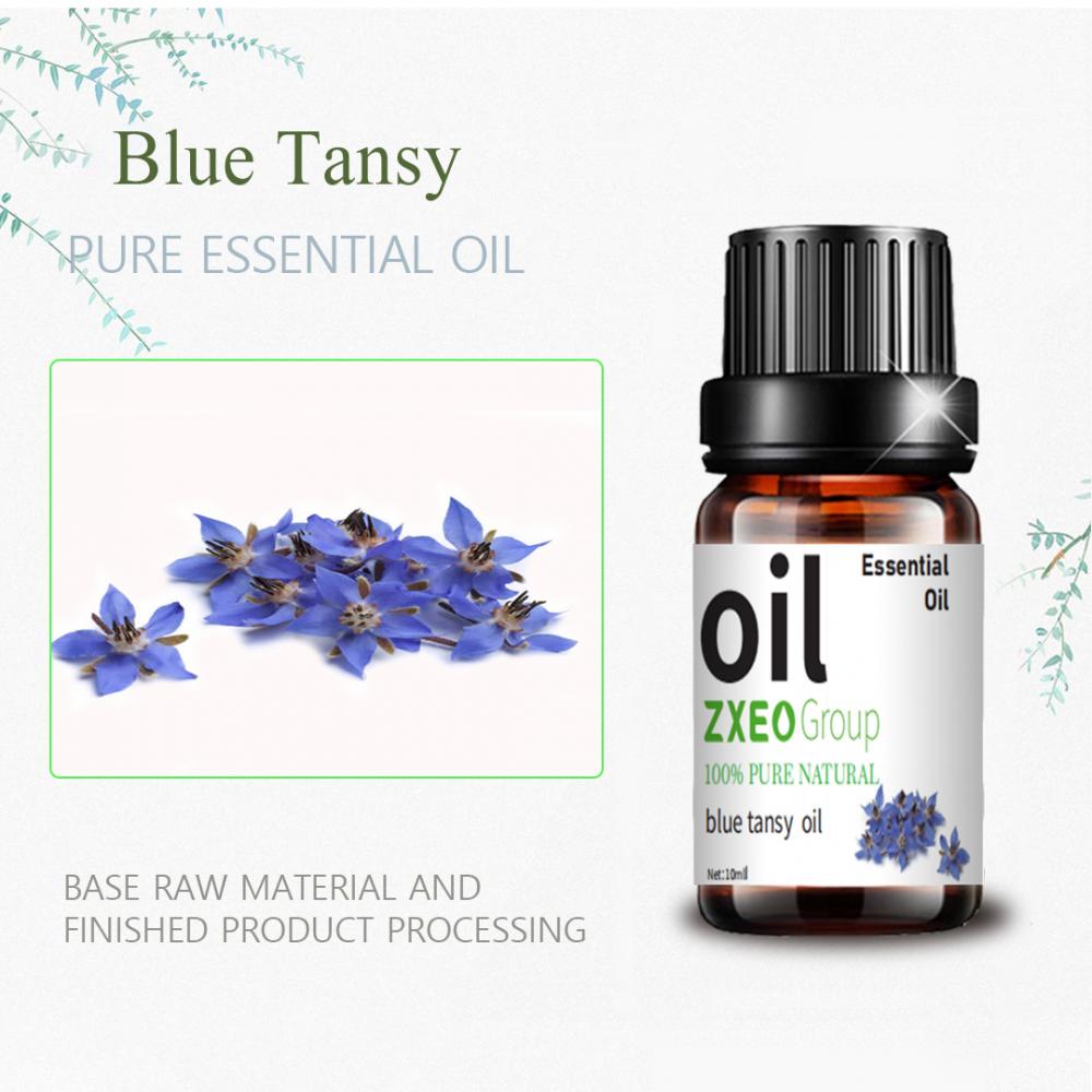 10 ml azul tansy Óleo Tanacetum Annuum Flower Oil Flower Bulk