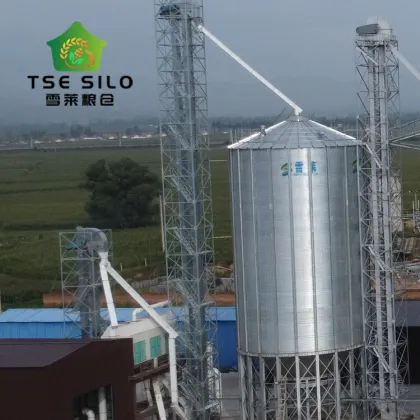 100m³ Farm Livestock Feed Silo for Pig Farm Feeds