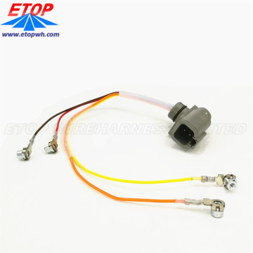 Heat Resistant Engine Wiring Harness for automotive