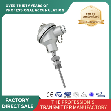 Custom Length E Type Waterproof Temperature Sensor Probe