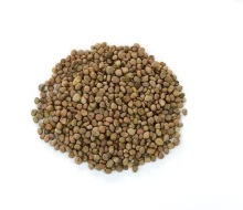 perilla frutescens seed