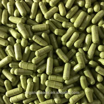 Orgnaic Matcha Capsule Wholesale