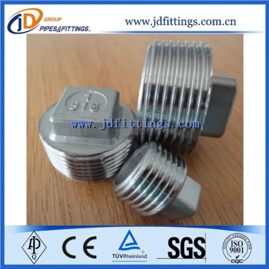 Stainless Steel Pipe Fitting Hexagon Head Plug