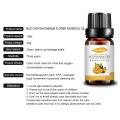 Bulk wild chrysanthemum flower oil extract essential oil