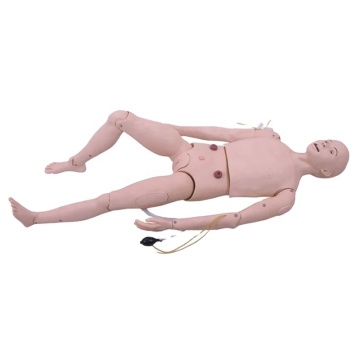 DARHMMY PVC Three-Chamber Two-Cystic Tube Manikin for Medical Training