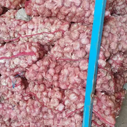 Organic Garlic Bulbs for Natural Remedies