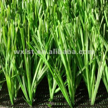 football field grass
