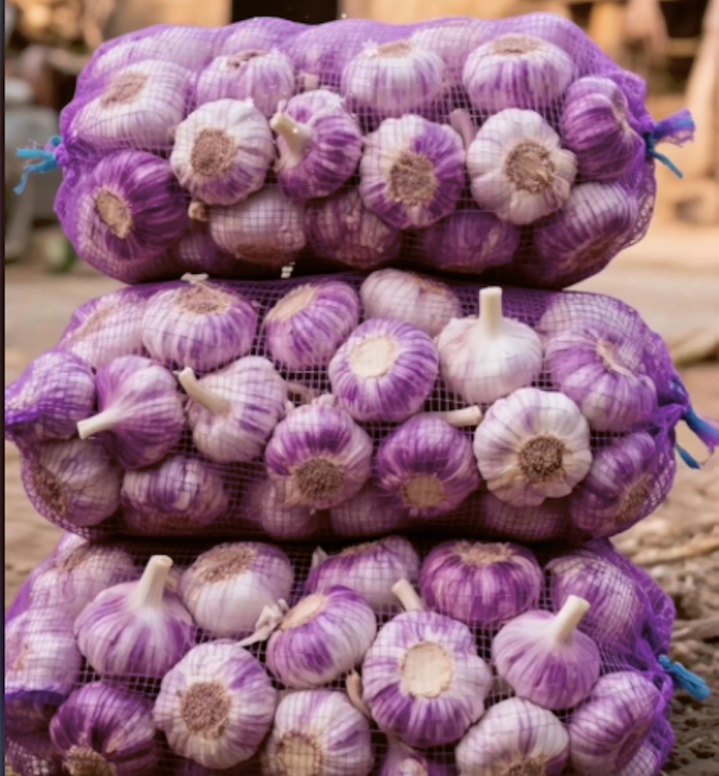 purple garlic