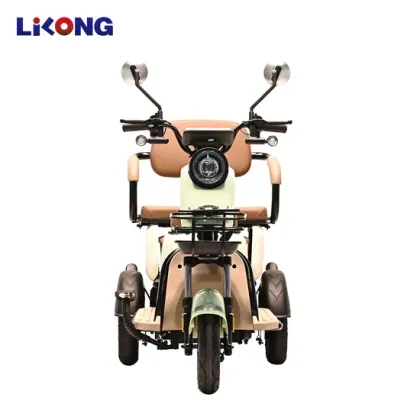 High-Powered Long-Range Electric Motorcycle for Leisure