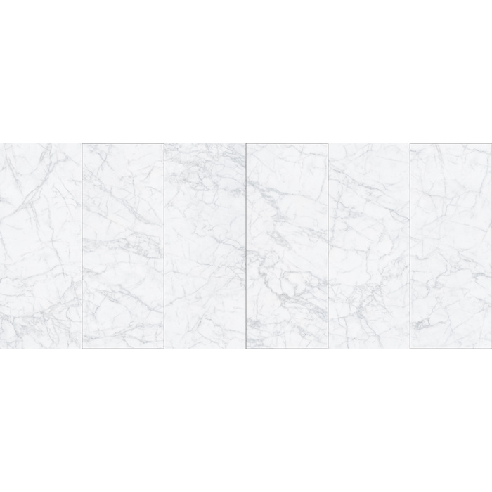 WSW216 digitális nyomtatási fal panel