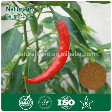 Cayenne Pepper Powder/Chinese Red Pepper Powder/Red Pepper Powder