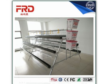 FRD-Hot selling Africa chicken cage for sale automatic chicken layer cage for sale (whatsapp:+86-152 7570 9648)