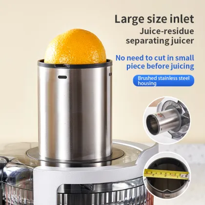 High-Power Home Use Juice Extractor Machine (800W-1000W)