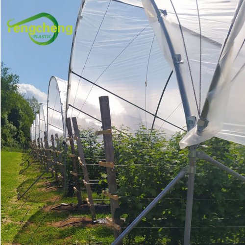 Agricultural 150micron clear greenhouse film for fruit