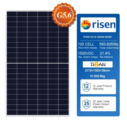Risen Energy 600W Hot Sale Solar Panels for Sunpower Projects