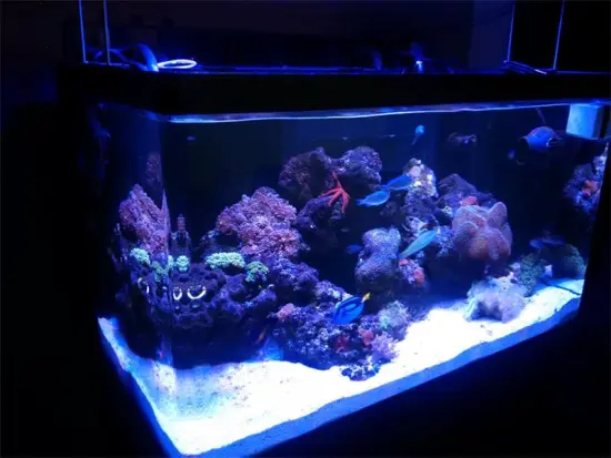 Christmas Gift for Your SPS / LPS 24" 36" 48" Programmable LED Aquarium Light Full Spectrum Aquarium LED Lighting