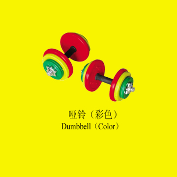 colored dumbbell 