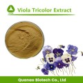 Natuurlijke pansy extract altviool tricolor extract poeder