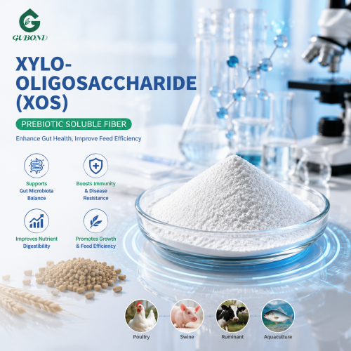 Polvo de xilooligosacárido Oligosacárido prefuncional XOS
