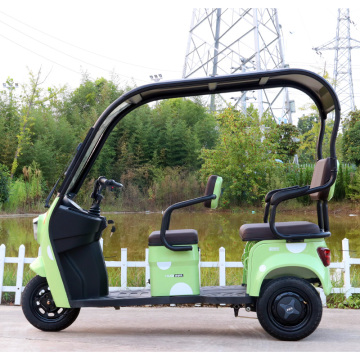 Electric Tricycle electric scooter cargo trike