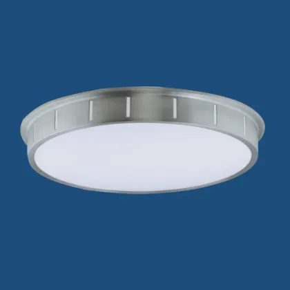 Ceiling Light