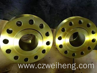 High Pressure Natural Gas Pipe Flange
