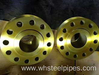 plate flat weld steel Pipe Flange types